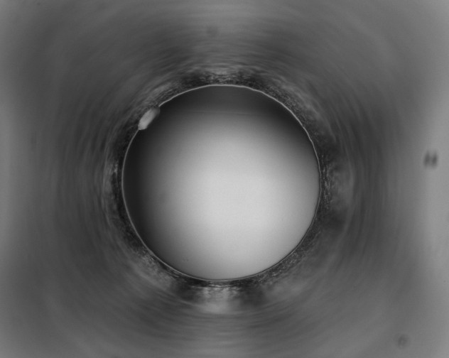 X0000098110225200804041352