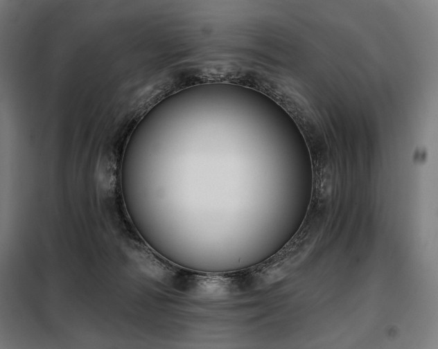 X0000098110226200804041352