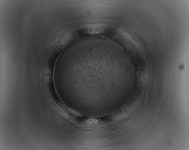X0000098110227200804041352