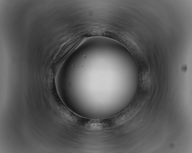 X0000098110228200804041352