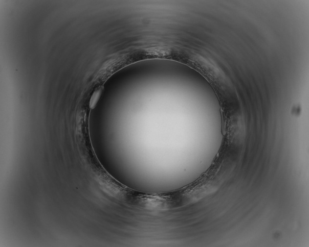 X0000098110229200804041352