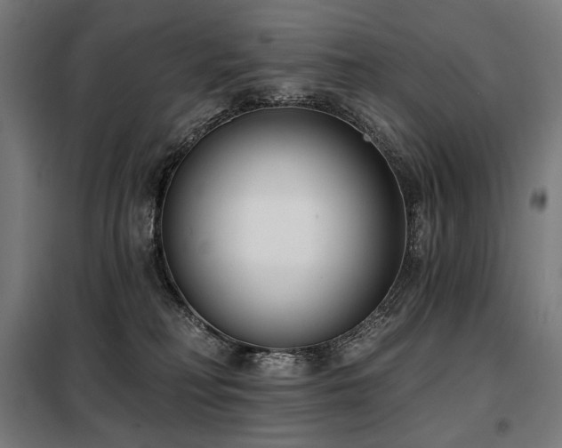 X0000098110230200804041352