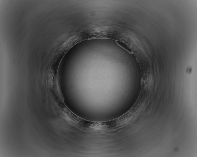 X0000098110231200804041352