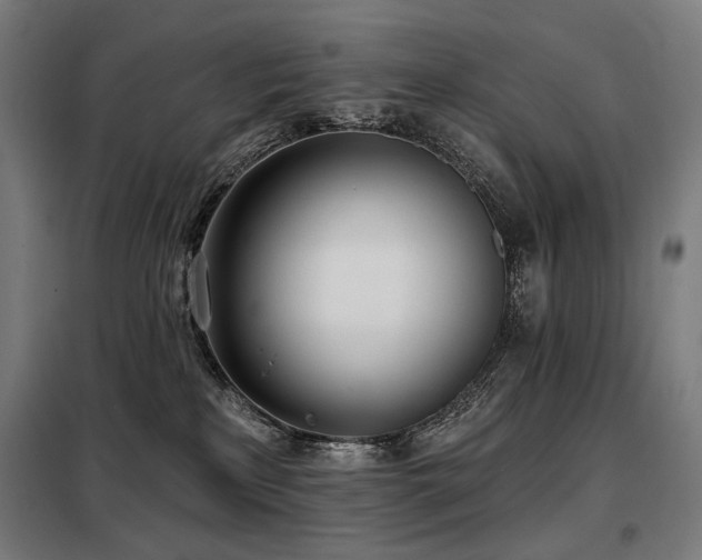 X0000098110233200804041352