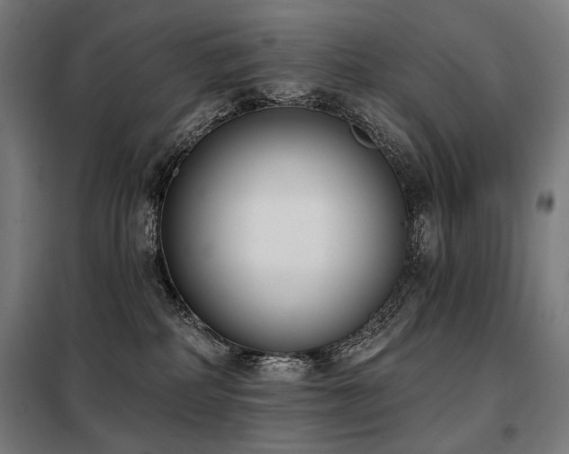 X0000098110234200804041352