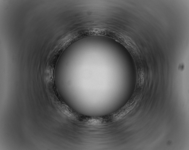 X0000098110236200804041352
