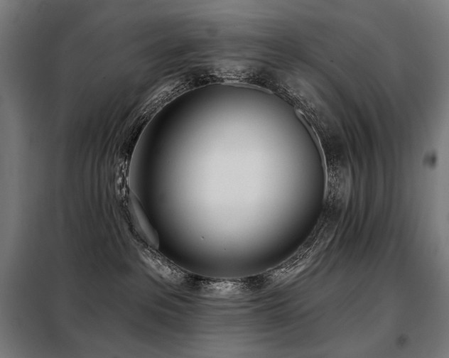 X0000098110237200804041351