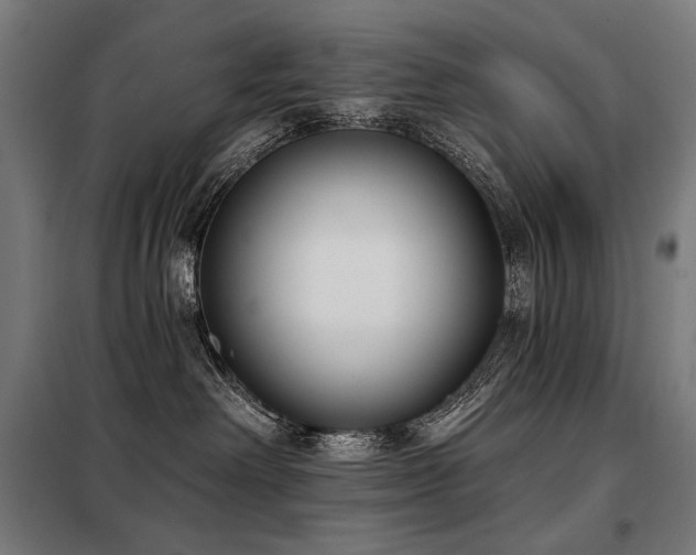 X0000098110238200804041351