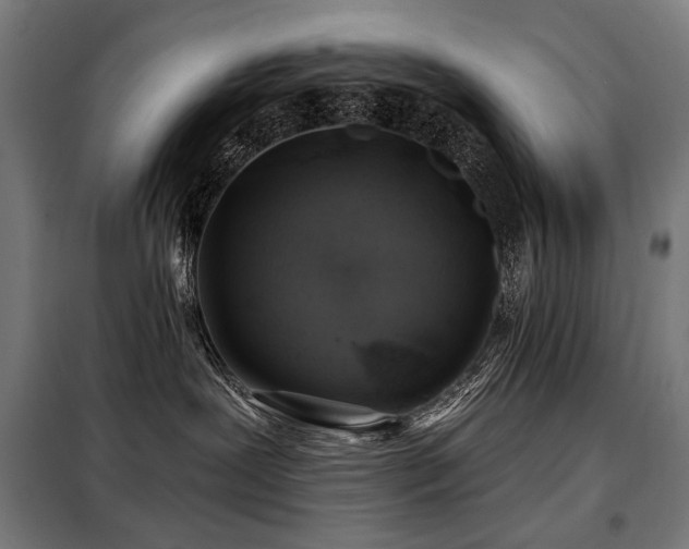 X0000098110239200804041351