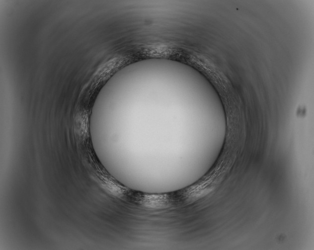 X0000098110240200804041351