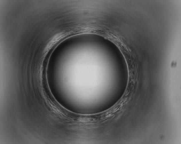 X0000098110242200804041351