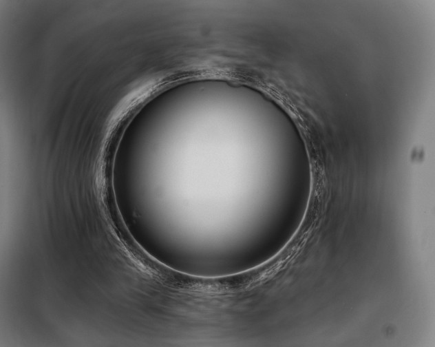 X0000098110245200804041351