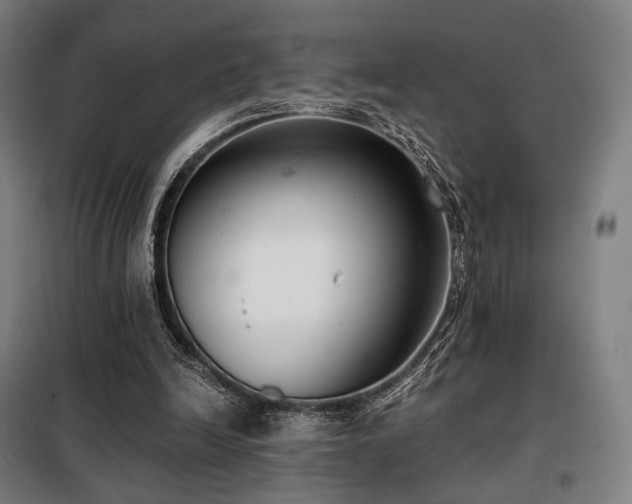 X0000098110246200804041351