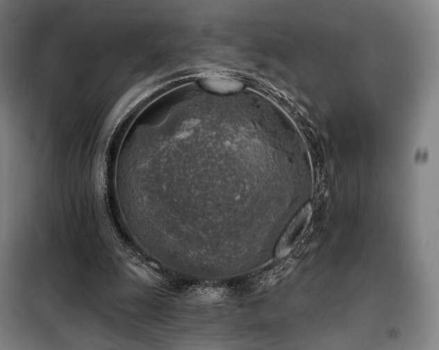 X0000098110247200804041351