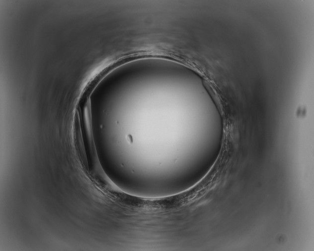 X0000098110248200804041351