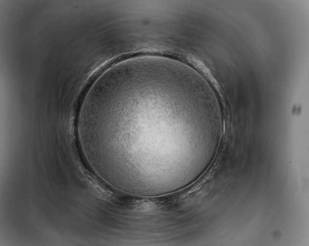 X0000098110249200804041351