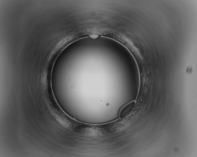 X0000098110250200804041351