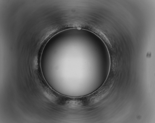 X0000098110251200804041351