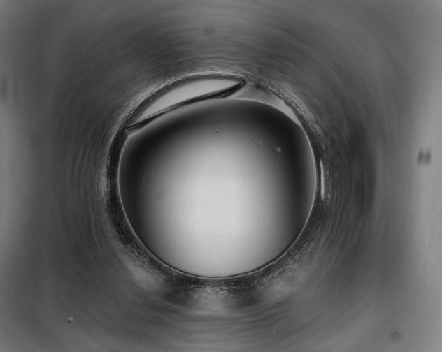 X0000098110252200804041351