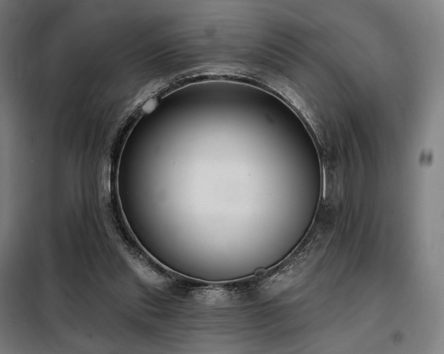 X0000098110253200804041351