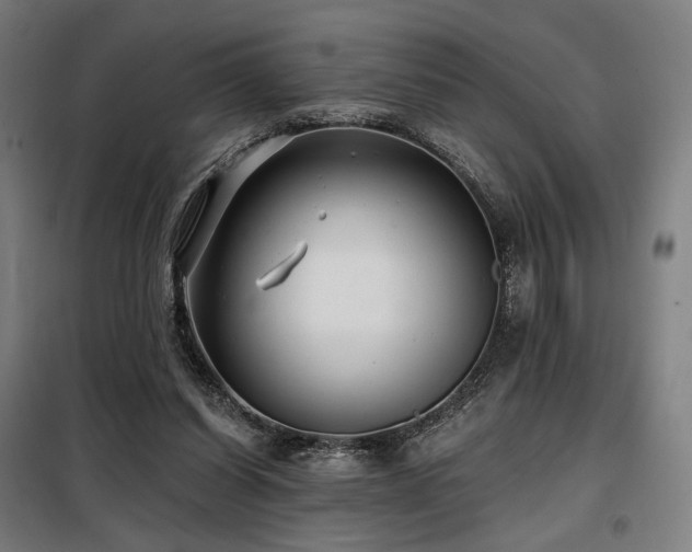 X0000098110254200804041351