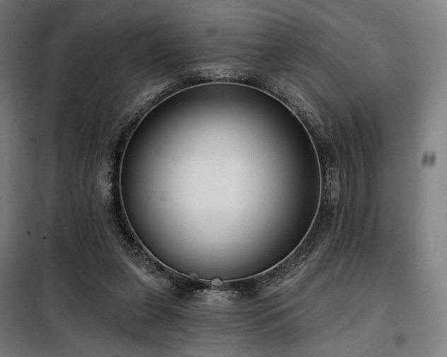 X0000098110255200804041351