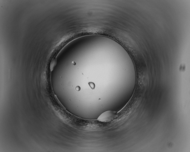 X0000098110256200804041351