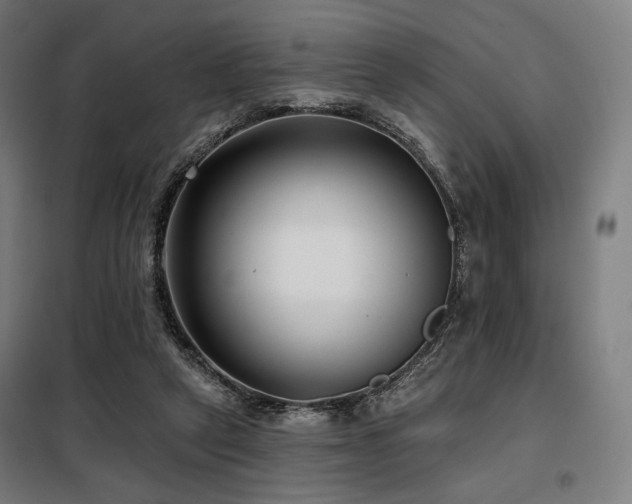 X0000098110257200804041351