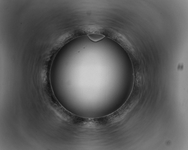 X0000098110259200804041351