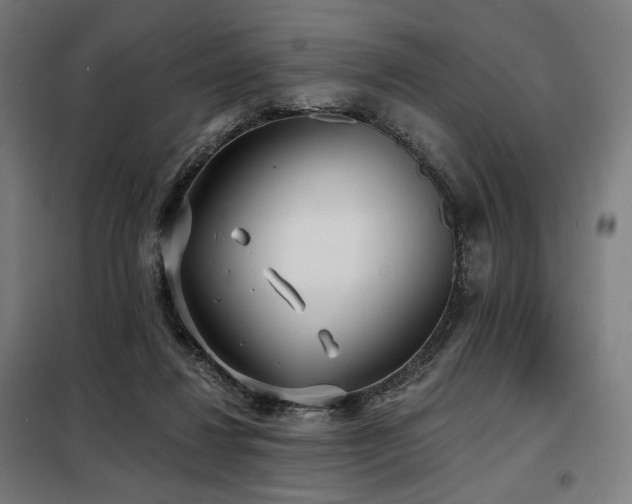X0000098110260200804041351