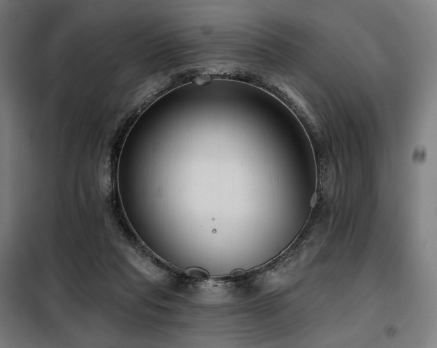X0000098110261200804041351