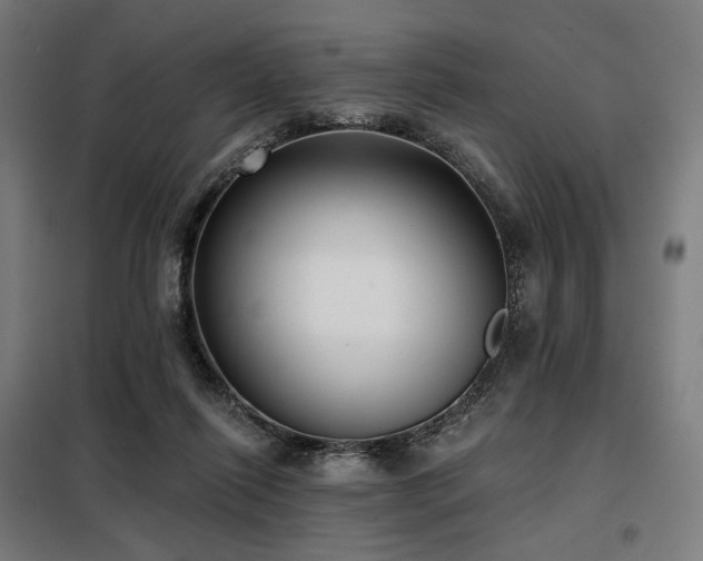 X0000098110262200804041351