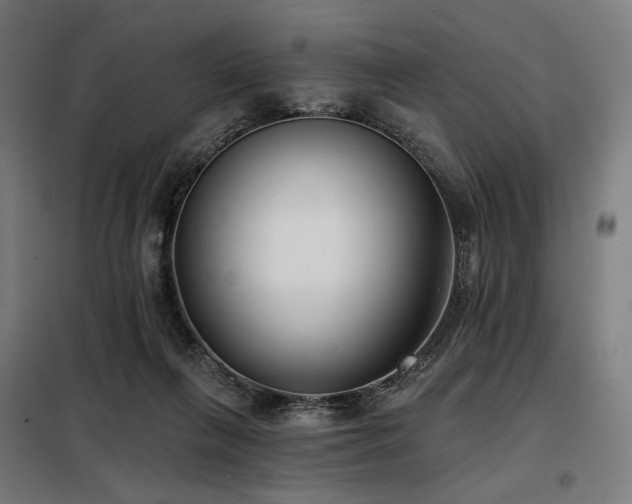 X0000098110263200804041351