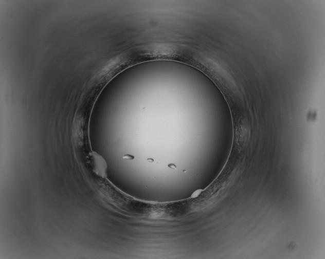 X0000098110264200804041351