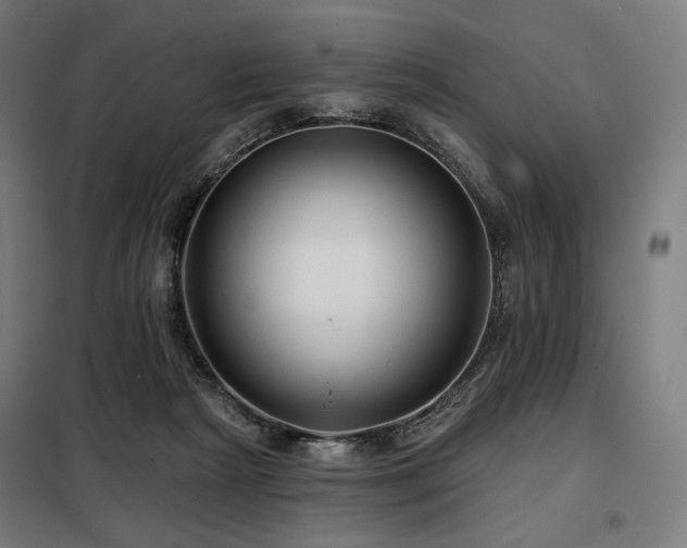 X0000098110265200804041351