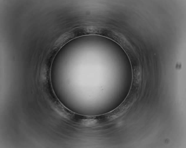 X0000098110266200804041351