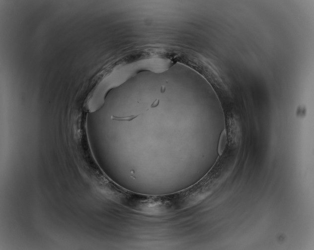 X0000098110267200804041351