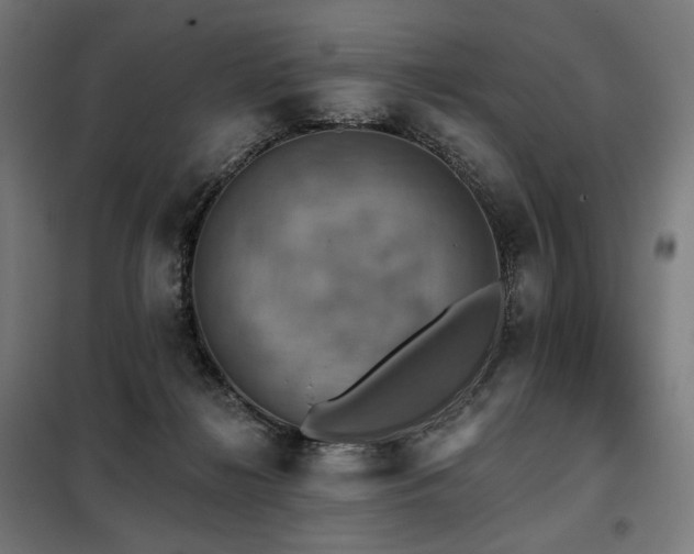 X0000098110268200804041351