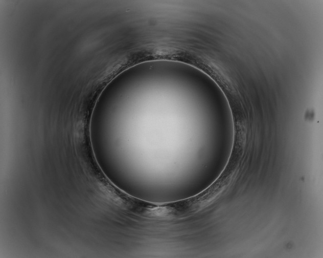 X0000098110269200804041351