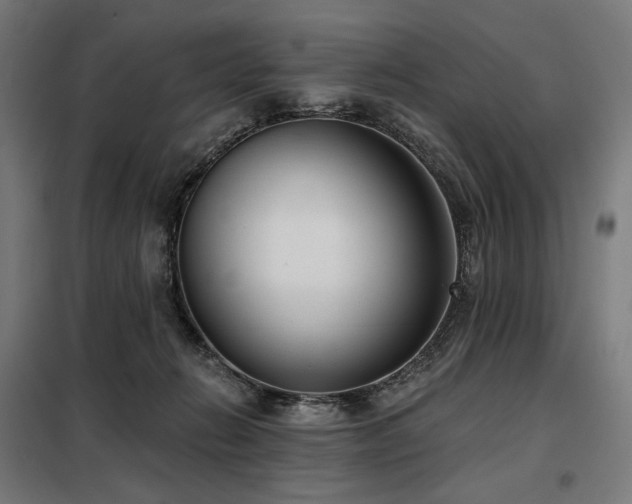 X0000098110270200804041351