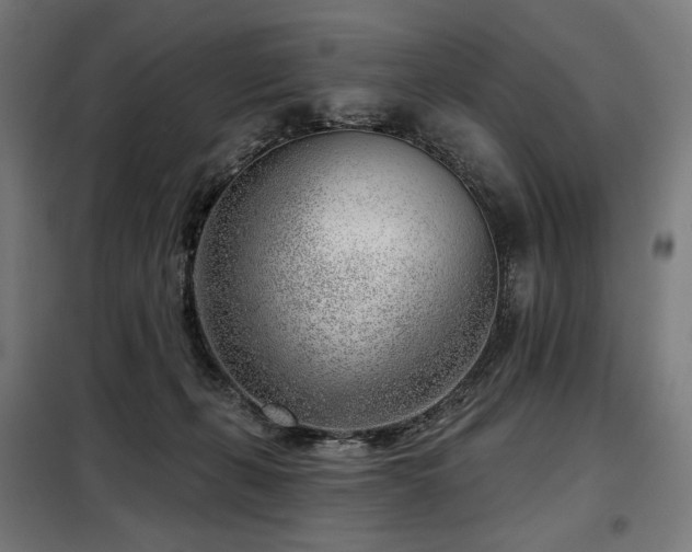 X0000098110271200804041351