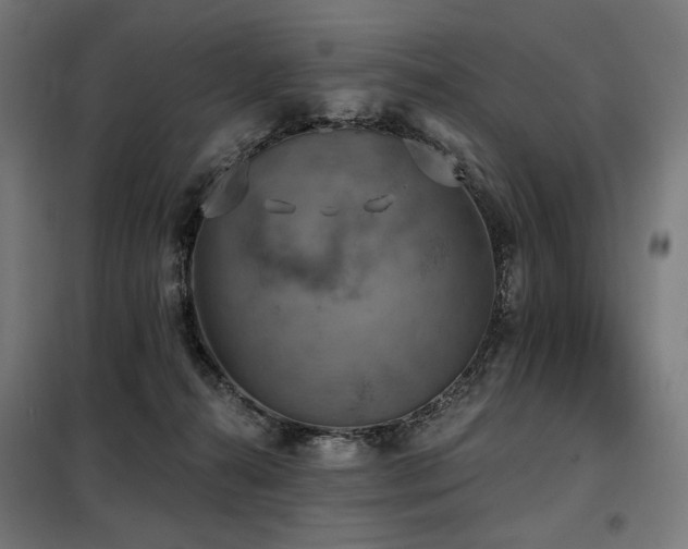 X0000098110272200804041351