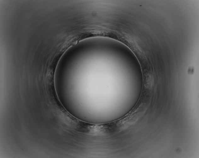 X0000098110273200804041351