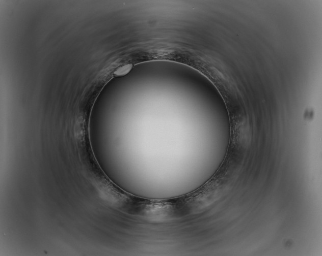 X0000098110274200804041351