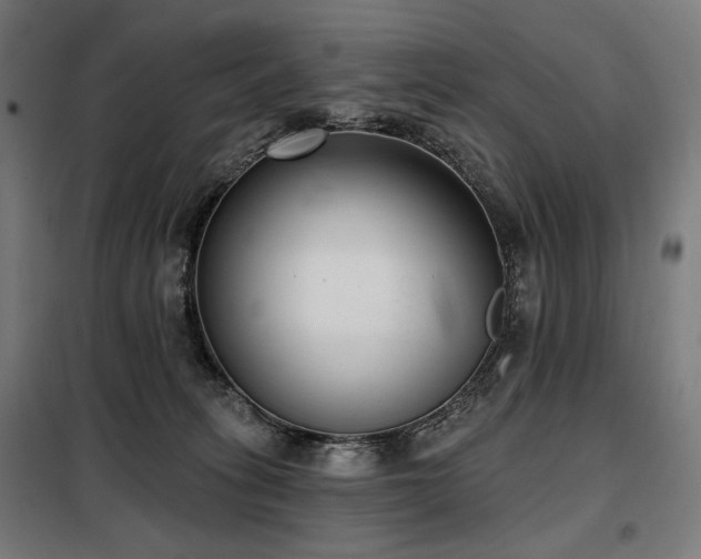 X0000098110275200804041351