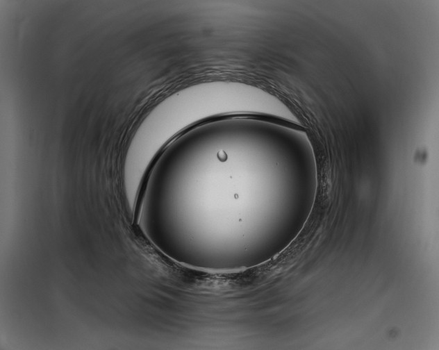 X0000098110276200804041351