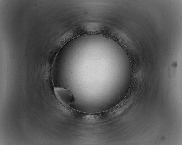 X0000098110277200804041351