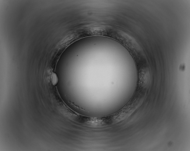 X0000098110278200804041351