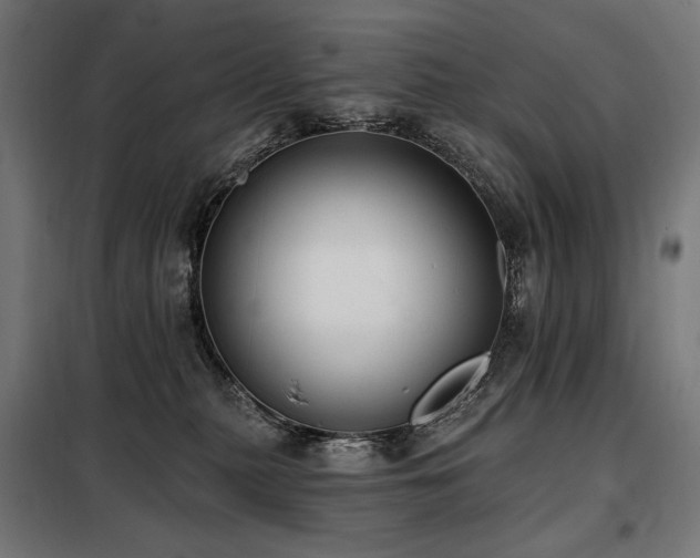 X0000098110279200804041351