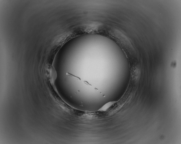 X0000098110280200804041351